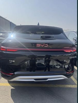 Byd Champion Smart