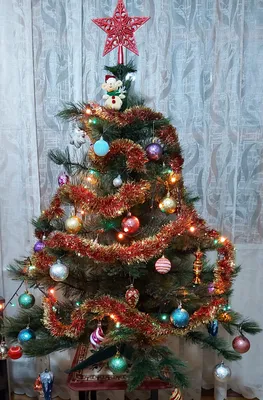 елка новогодняя