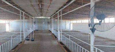 Срочно Новый УЧАСТОК 35 Соток Аккурган под бизнес Скотоводство