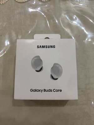 Galaxy Buds core
