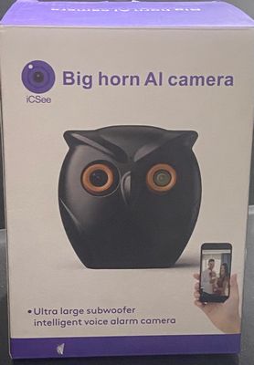Wifi secret camera