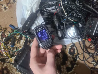 Mejikar 908 daminant