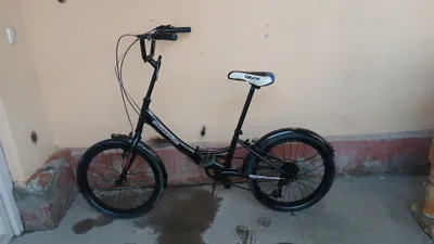 Velik yangiday skoris