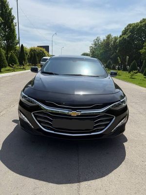 Malibu primer 2022