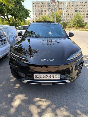 BYD Champion 2024-yil. Tok 605 km