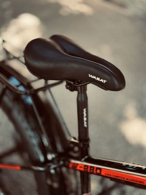 Wast sport w-880 New