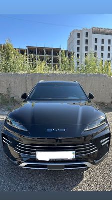 Byd Champion 150 km Flagship