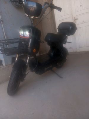 sotiladi  kelishib beriladi