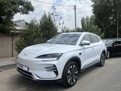 BYD Champion Smart 2025