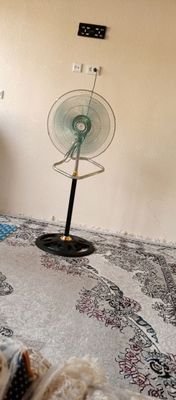 vitntilyator
