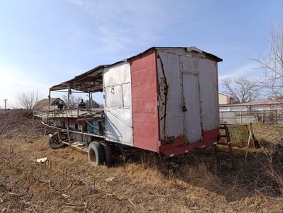 Продается пасика, пчелы