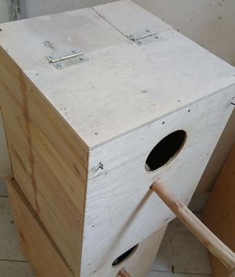 Продается гнездо для птиц