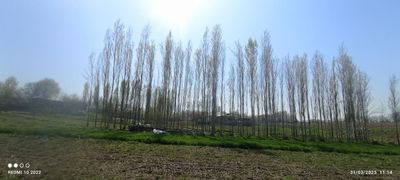 Quruq yer sotiladi