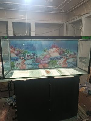 Аквариум 300л,б/у 600000сум