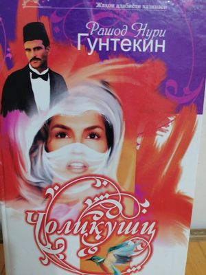 Скидка Choliqushi турецкая книга