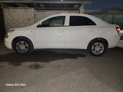 Kobilt 2024 yil 20000 yurgan toza