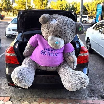 Teddy ayiqlarmiz