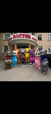 Ayiqlar raspradasha oformleniya 24 soat xizmat eng arzon para