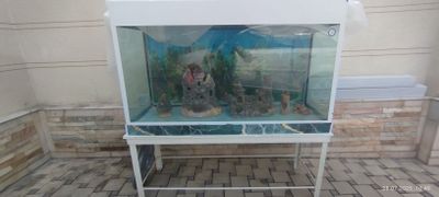 Akvarium sotiladi
