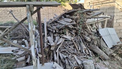 Курук утинлар сотилади
