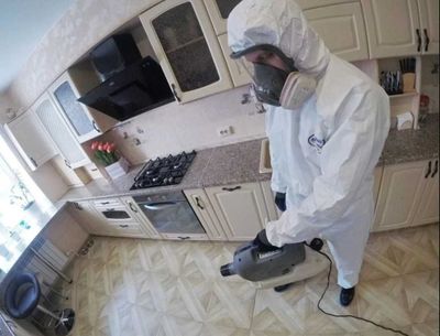 Таракан Клоп Бурга Блох Клещ Муравьи Скорпион Dezinfeksiya Дезинфекция
