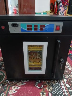 Inkubator original