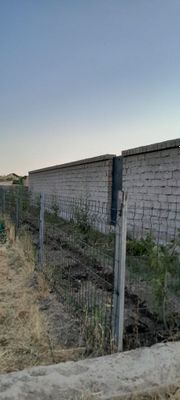 Toshkent vil. O'rtachirchiq tumani, Toshloq MFY, Navro'z ko'chasi 65