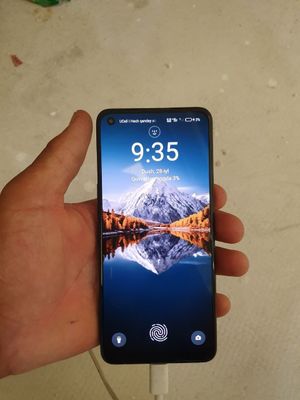 Oppo reno 7 8+8 128 tali norm holat