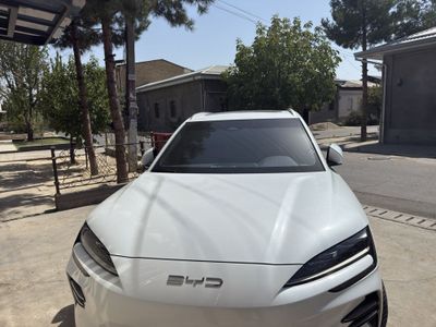 Byd chempion ideal sastayanasi