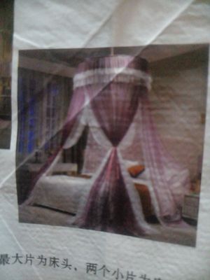 pashshahona