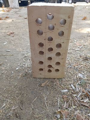 19 ta teshikli gisht
