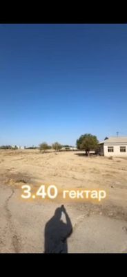 Сирдарё вилоятида М-39 трасса дан жой сотилади