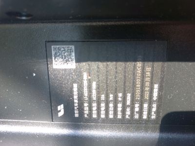 зарядной устроиство для  электромобили бивайди