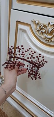 Diadema