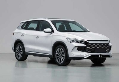 BYD SONG PRO DM-i 110-km hybrid oq 2024