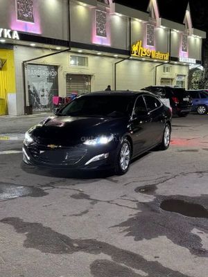 Malibu 2 premer 2022