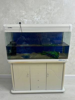 Akvarium sotiladi srochna