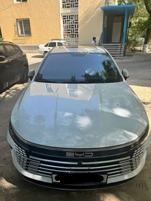 BYD Chazor Champion Luxe DM-I 55 km