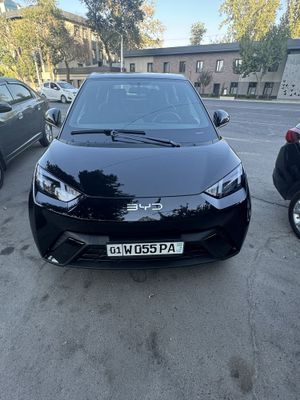 BYD seagull black