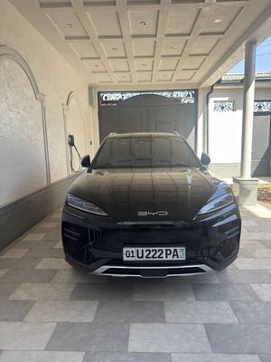 Byd chempion srochna arzon narhda
