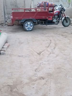 yuq oddiy