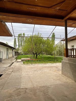 Экологически чистый район. Куксарай беруний 16 соток