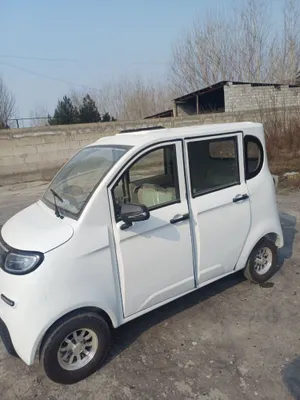 Electromobile Bodo car