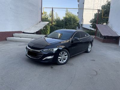 Malibu 2 Premier 2022