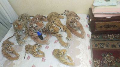 Игрушки тигры всё сразу.