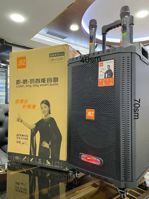 JBZ 1206 Калонка караоке акустический динамик