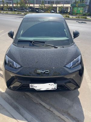 Byd Seagull 2025versiya