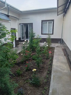 Yangi hovli sotiladi.