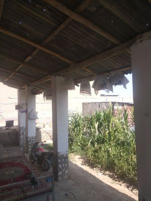 Bedana sotiladi sochna