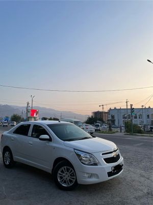 Chixol polik, 4 ta yangi yumsho balon, tanirovka, sonsa zashita pilyon